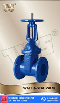 沃特斯閥門 圖 彈性座封閘閥 閘閥